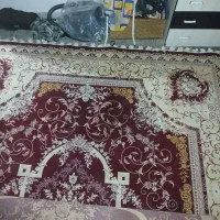 قالی ۱۲متری