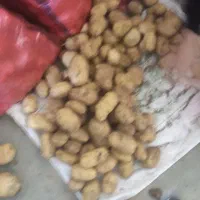 سیب زمینی خوراکی