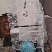 قفس پرنده