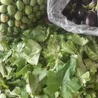 انبه بدون هسته،سپستان،میناب ورودان،ترشی انبه دریزد|خوردنی و آشامیدنی|یزد, |دیوار
