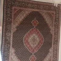 قالیچه دست بافت|فرش|شیراز, ارم|دیوار
