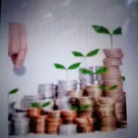 مدیریت سرمایه تا سیصد میلیارد به بالا