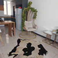 مبل فرش یخچال تاب ریلکسی