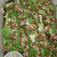 ۵۰ بچه حلزون خوشکل