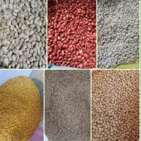 لوبیاچیتی260نخود150عدس120.لپه.لوبیاقرمزبشرط زودپزی