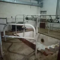 واحد1 گاوداری40راسی صنعتی مجتمع.شفق فریمان|اجارهٔ دفتر صنعتی، کشاورزی، تجاری|فریمان, |دیوار