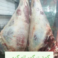فروش دام زنده ،و گوشت گوساله و حیوان گرم