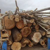 خرید و فروش انواع چوب