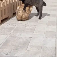 سرابی قره ماده