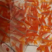 ماهی قرمز عمده خرده