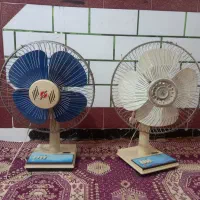 دو عدد پنکه زمینی