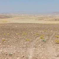 زامیاد دوگانه سوز شرکتی مدل 92