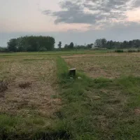 خونه ویلایی کلا۱۰۵۰۰متر|فروش خانه و ویلا|کوچصفهان, |دیوار