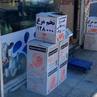 فروش عمده تخم مرغ زرده طلایی قیمت استثنایی