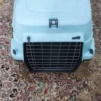 باکس حیوانات