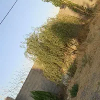 باغ ویلا شاهنامه شمس آباد|فروش خانه و ویلا|مشهد, کلاته برفی|دیوار