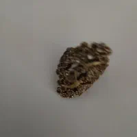 دستبند طلا گم شده