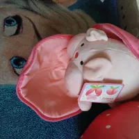 عروسک سوپرایزی|اسباب‌‌بازی|شیراز, بعثت|دیوار