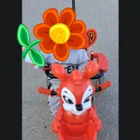 سه چرخه در حد نو