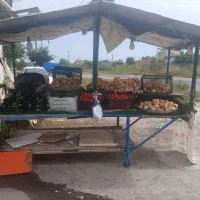 گاری میوه و کباب با کفی نراد درجه 1 صفر