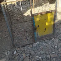 قفس.پرنده.برای.مرع.سالم‌در‌دارد