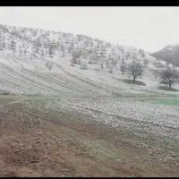 فروش-زمین-مسکونی-وتجاری-درسیاه-چم