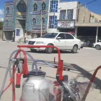 توزیع شیر دوش دامی نیک
