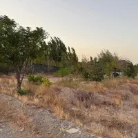 باغستان ثامن