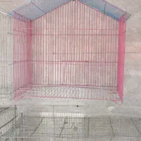 پرنده فروشی