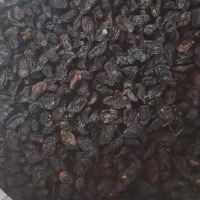 کشمش و مویز|خوردنی و آشامیدنی|بیضا, |دیوار