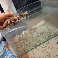 اکواریوم بدون هیچ عیب