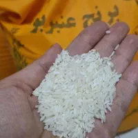 برنج عنبربو احمدی