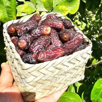 خرما پیارم|خوردنی و آشامیدنی|تهران, منیریه|دیوار