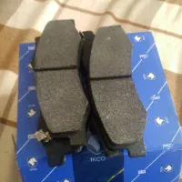 لنت ترمز عظام