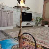 قیلون در حد نوع