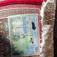 فرش و کناره نخشین|فرش|سنندج, |دیوار