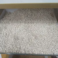 فروش ادویه  حبوبات به علت تغیر شغل حراج شد