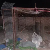 قفس مرغی بزرگ