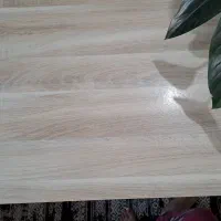 میز ناهار خوری|میز و صندلی غذاخوری|رشت, منظریه|دیوار