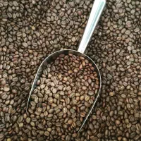 فروش قهوه عمده|عمدهفروشی|تهران, جیحون|دیوار