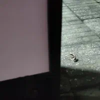 نیمکت و اسه پشت چرخ|صندلی و نیمکت|رشت, تازه آباد|دیوار