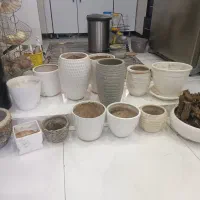 گلدون سرامیکی و پلاستیکی