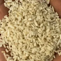 سرلاشه برنج