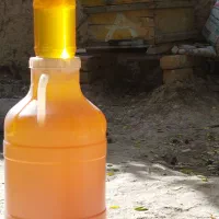عسل طبیعی با کیفیت|خوردنی و آشامیدنی|آشخانه, |دیوار