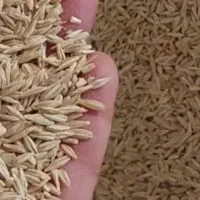 جو یک تن و دویست سیصد کیلو