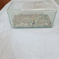 آکواریوم