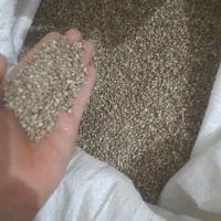 شادونه ونایی