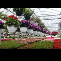 کلیه خدمات باغبانی منازل پذیرفته می شود