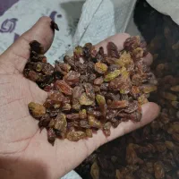 کشمش فله آفتابی محلی
