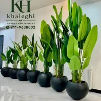 فروش عمده انواع درختچه های مصنوعی